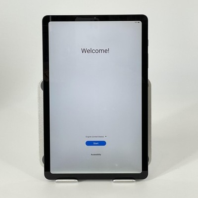 Samsung Galaxy Tab S6 Lite Oxford Gray 64GB WiFi - Very Good w/ White Spots