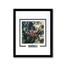 Pink Floyd David Gilmour Autographed 11x14 Framed Photo Obscured by Clouds ACOA