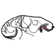 LS Standalone Wiring Harness 4L60E DBC Compatible with 1997-2006 GM LS1 Gen 3 Vo