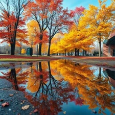 Digital Picture of Beautiful lake view with water reflecting printable file