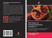 Intjar Singh Dawar (U. A.) | Marcottage Em Pomegranate(Punica Granatum L.)