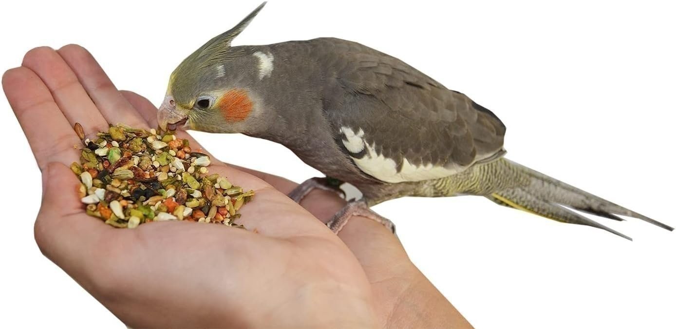 Birds LOVE All Natural Garden Blend Bird Food for Medium Birds - 2lb 1 Pack