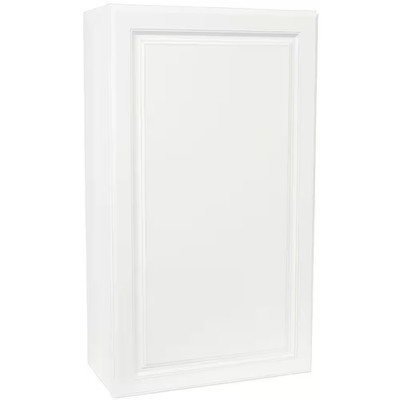 Hampton 24 In. W X 12 In. D X 42 In. H Assembled Wall Kitchen Cabinet in Satin W