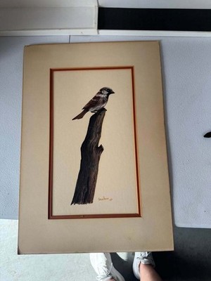 Texas Artist Estelle Pruitt Sparrow Painting - American nature artists
