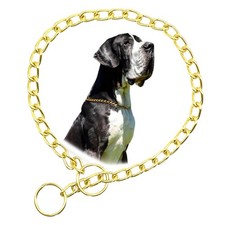 Gold Choke Dog Chain Collar Metal Slip Link XS Neck Max 12inch D2.0mm,