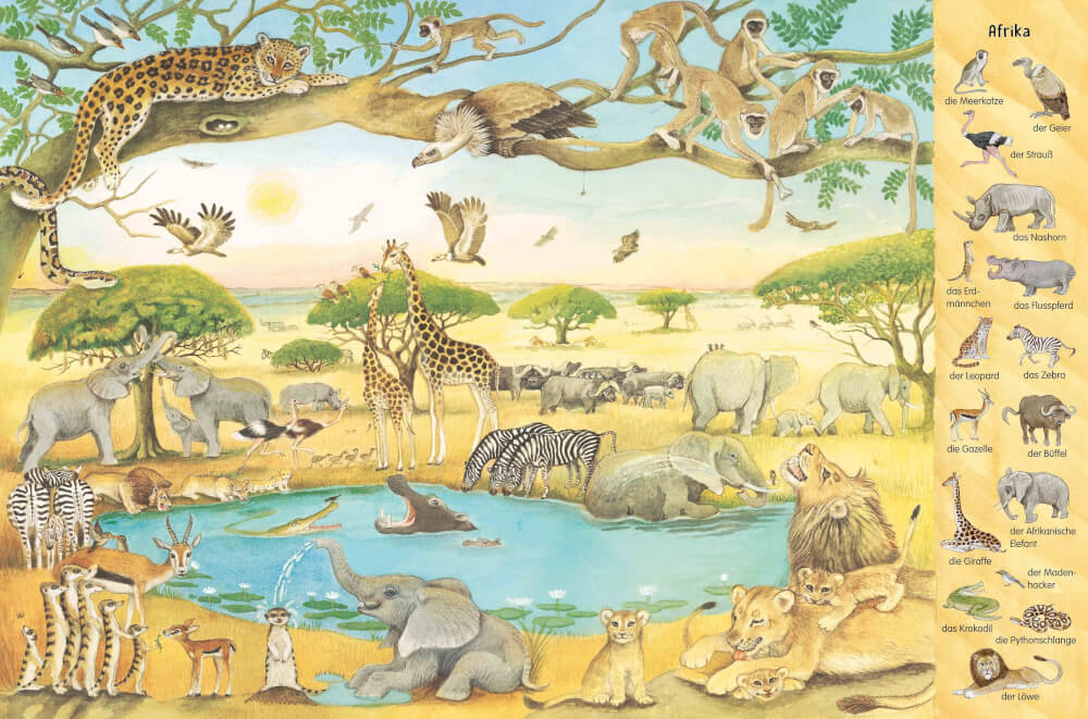 Thumbnail - Mein Großes Tiere-wimmelbuch