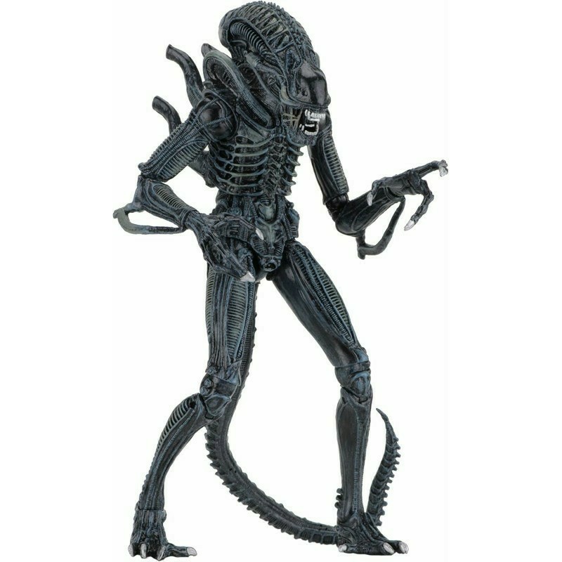 Neca : ALIENS (1986) ALIENS WARRIOR Ultimate Edition - Blue ( Used  A5 M2 )