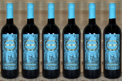 Masseria Frattasi Caudium Aglianco Campania IGP 2024 ( 6 x 0,75 Lt. )