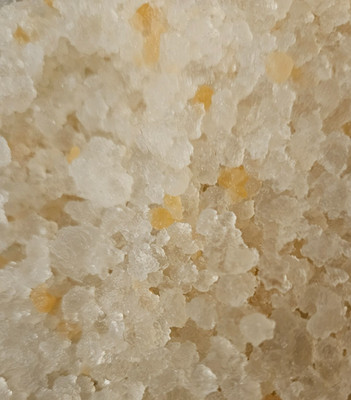 Wasserkefir Kristalle 50g für 1500ml Tibi Algen robuster Stamm 30 J. Erfahrung