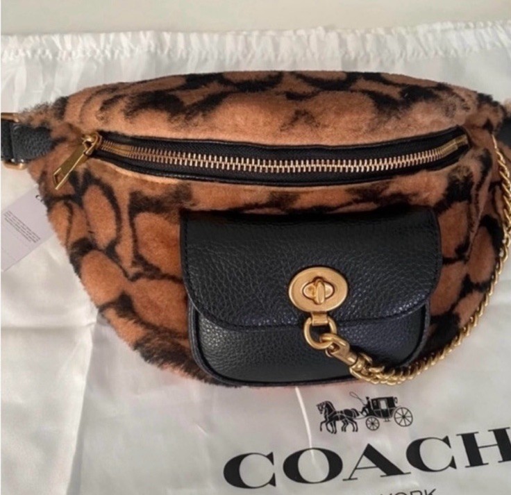 Coach X Jennifer Lopez Chain Belt Bag In Signature Shearling | eBay