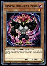 Blackwing - Hurricane the Tornado - DLCS-EN031 - 1st Edition - YuGiOh TCG