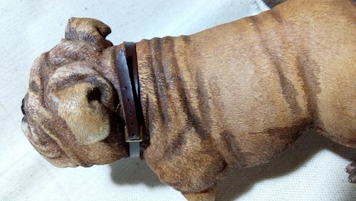1/6 DRAGON IN DREAMS DRAGON WW II PAINTED COMPANY BULLDOG DOG - Imagen 9 de 10