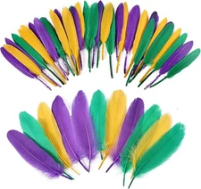 iHUFeather 270pcs Mardi Gras Goose Feathers for Crafts 2 Styles 
