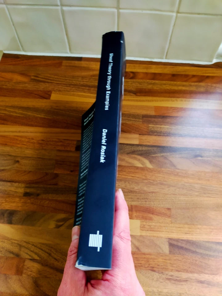 Sheaf Theory Through Examples - Daniel Rosiak - Image 3 of 4