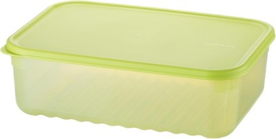 Fresh-Block Plastic Food Storage Container | Produce Storage Containers for
