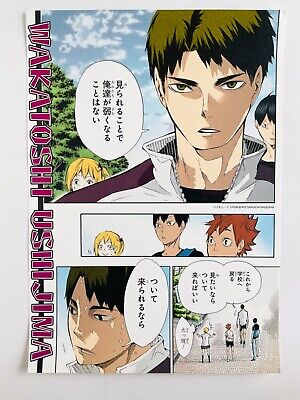 Haikyuu!! Anime Poster  Haikyuu anime, Haikyuu manga, Haikyuu fanart