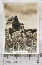 1938 Senior Service Our Countryside 47 Tudor Dove-Cote Willington