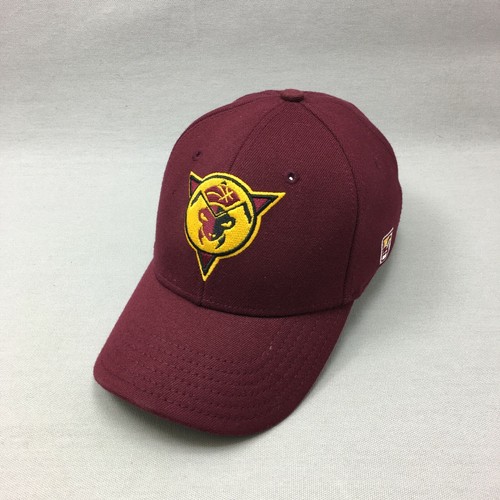 Fort Wayne Mad Ants Hat Cap Stretch 