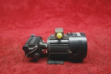 ERA Pump PN 13905