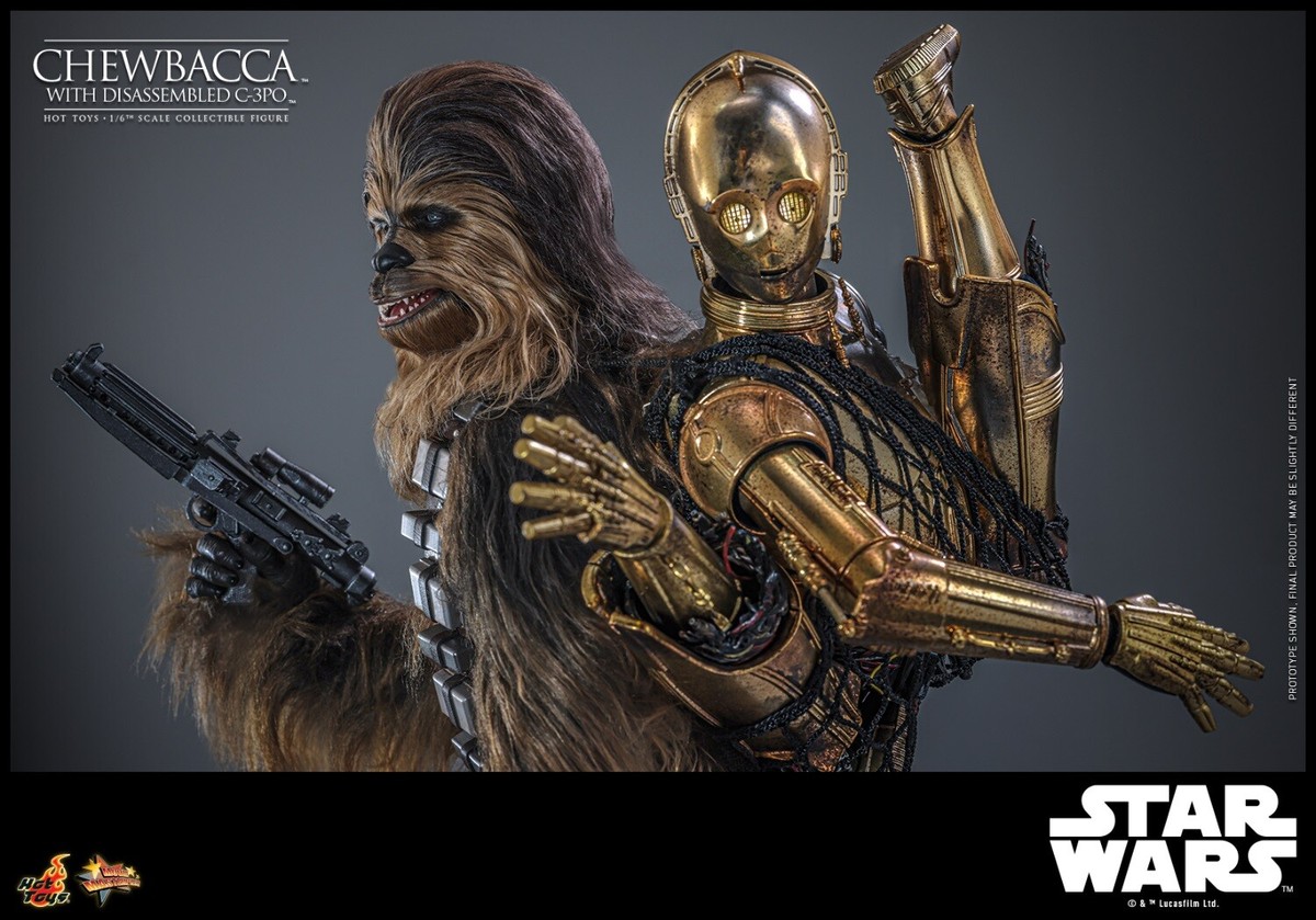 ホットトイズ 1/6 チューバッカ ＆ C-3PO (分解) MMS766
