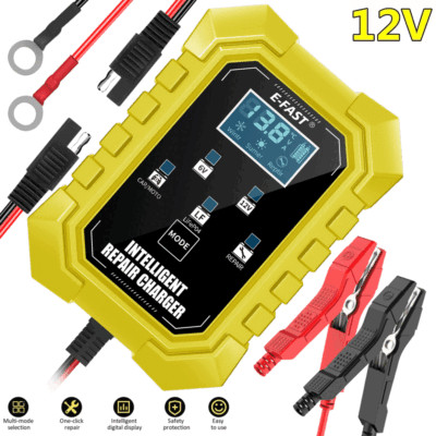 Intelligent Automatic Car Battery Charger 12V Pulse Repair Starter AGM/GEL