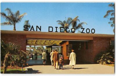 Balboa Park, CA SAN DIEGO ZOO California 1950s Chrome Vintage Postcard ...