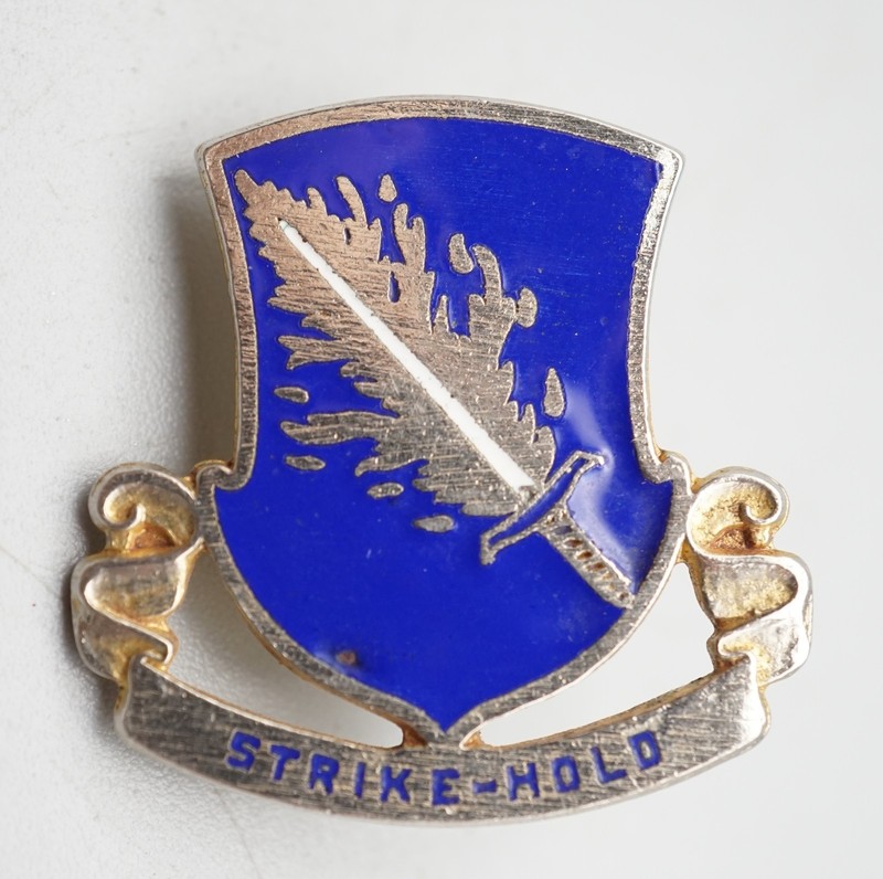 WWII 504th Airborne Regiment Strike- Hold DI Unit Crest Pin RARE