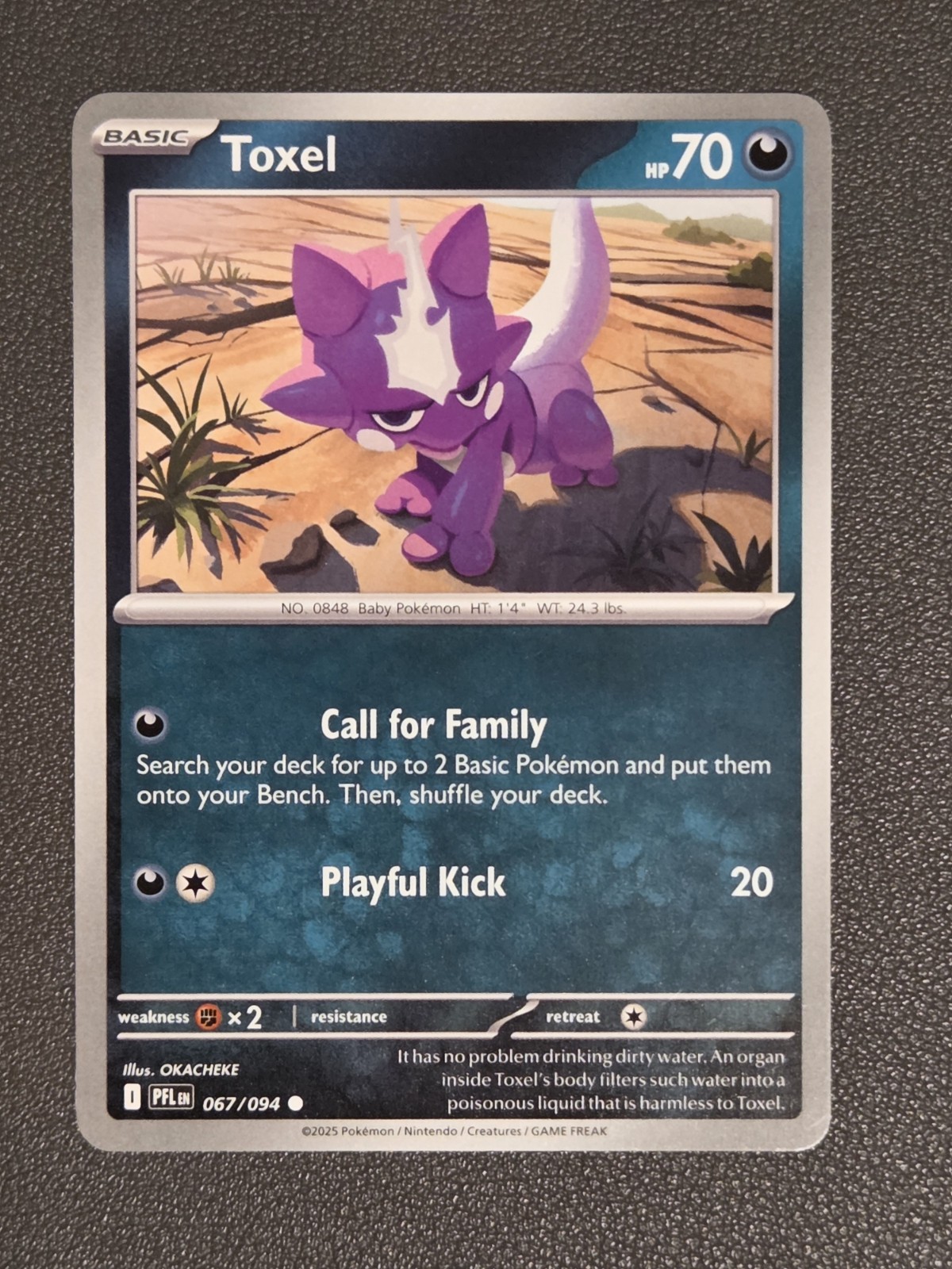 Toxel - 67/94 - Common Regular - Pokemon Phantasmal Flames - NM