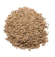 Whole Cumin Spice - 1 Pound Re-sealable Bulk Bag by Denver Spice