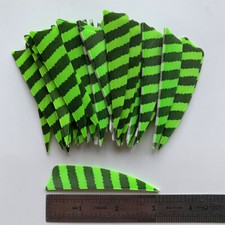 50PCS 3inch Striped Fluorescent Green Shield Archery Fletches Feathers RW LW