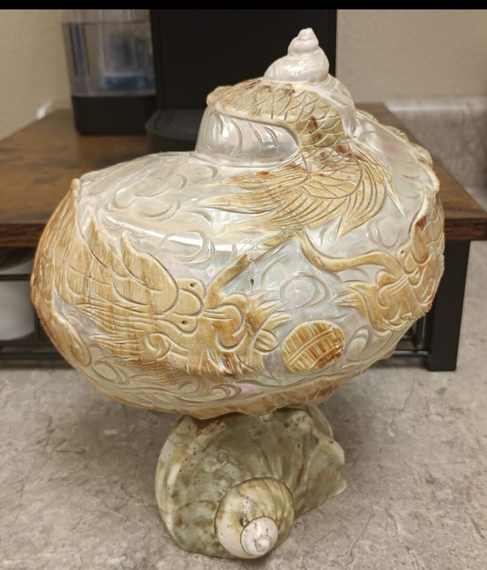Vintage Turbo Marmoratus green turban carved dragon phoenix sea shell seashell 