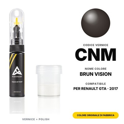 Touch Up Paint For Renault GTA CNM Brun Vision Body Set Paint Touch Up