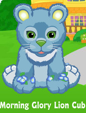 Webkinz Morning Glory Lion Cub Virtual PET Adoption CODE ONLY Rare