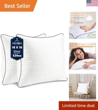 Allergy-Friendly Decorative Pillow Inserts 18'' x 18'' - Soft Support Pack of 2