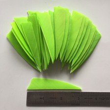 50PCS 3inch Fluorescent Green Shield Fletches Feathers Fletching Vanes RW LW