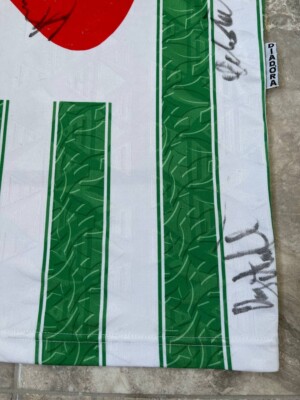 Nigeria Home Maillot de foot 1994 - 1995