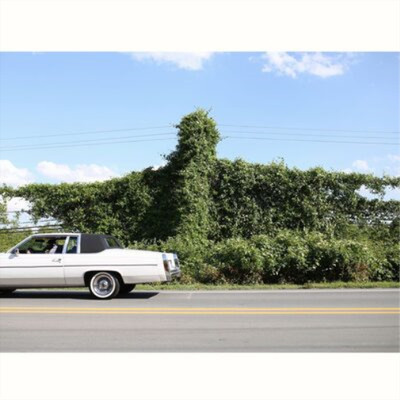Cory Branan When I Go I Ghost (Vinyl) 12'' Album