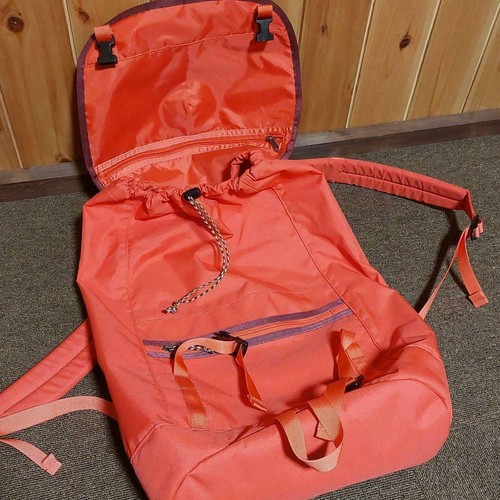 PATAGONIA Arbor Pack Rucksack Backpack 