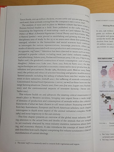 Human-Animal Studies: Meat Culture by Annie Potts (2016, Hardcover) - Picture 8 of 23