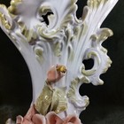 Picture 8 of 20