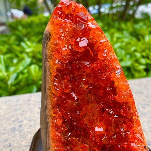 1.99LB Natural Citrine Geode Crystal Cluster Quartz Mineral Specimen Healing - Bild 11 von 13