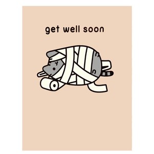 pusheen get well card official greetings cute crazy cat lady gift s l300 pusheen get well card official greetings cute crazy cat lady gift