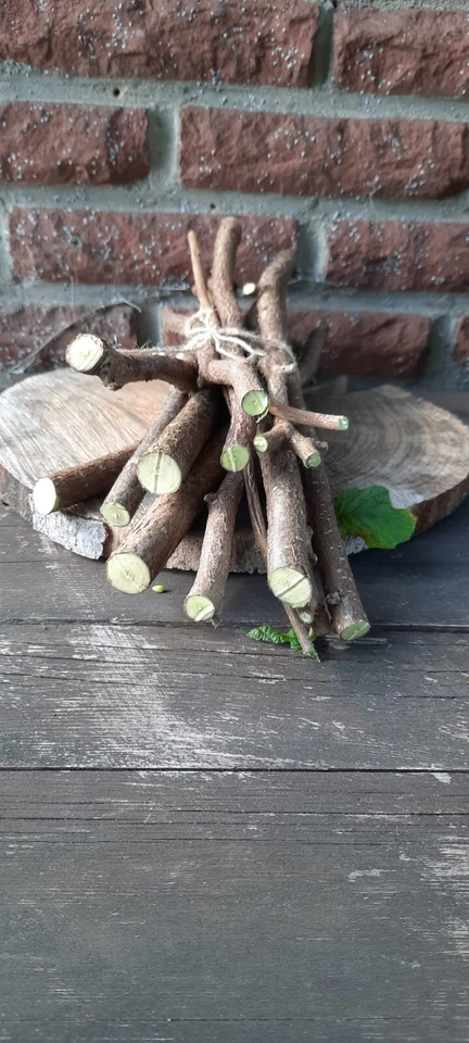 500 g Knabberholz Haselnuss Zweige, Äste Nager,Pferde, Bio Qualität Bastelholz - Bild 2 von 3