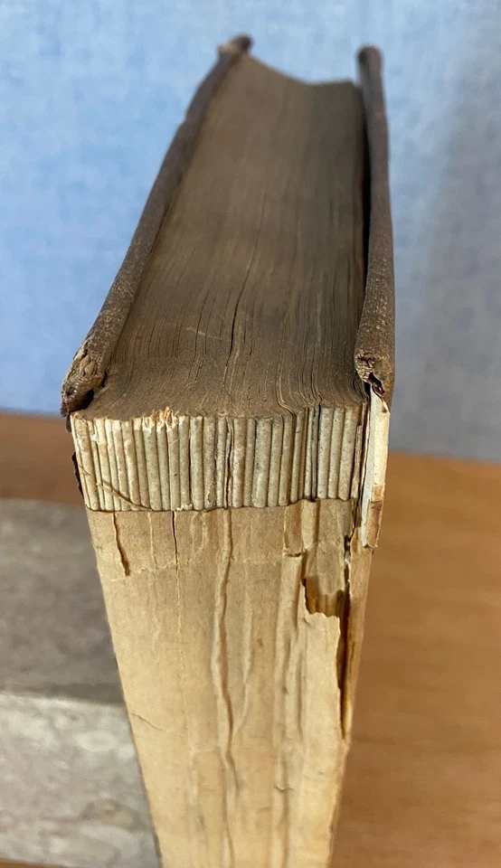 EXPLORATION OF THE VALLEY OF THE AMAZON by W. M. Lewis Herndon 1854  Repair copy - Image 3 of 4