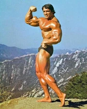 Bodybuilder, Actor ARNOLD SCHWARZENEGGER 11x17 Photo Celebrity Print Poster