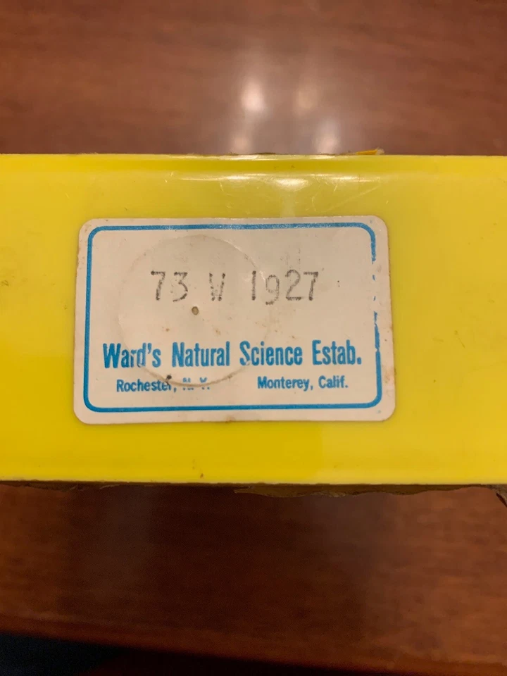 🕷🕷🕷🕷Vintage 8mm Film: Black Widow Spider 🕷🕷🕷🕷🕷 No. 526 🕷🕷🕷🕷 - Image 4 of 4
