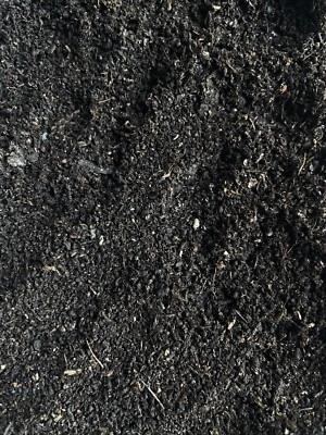 GGL WORM CASTNGS SOIL | High Quality Soil | Terrarium Supplies | Vermicast Soil