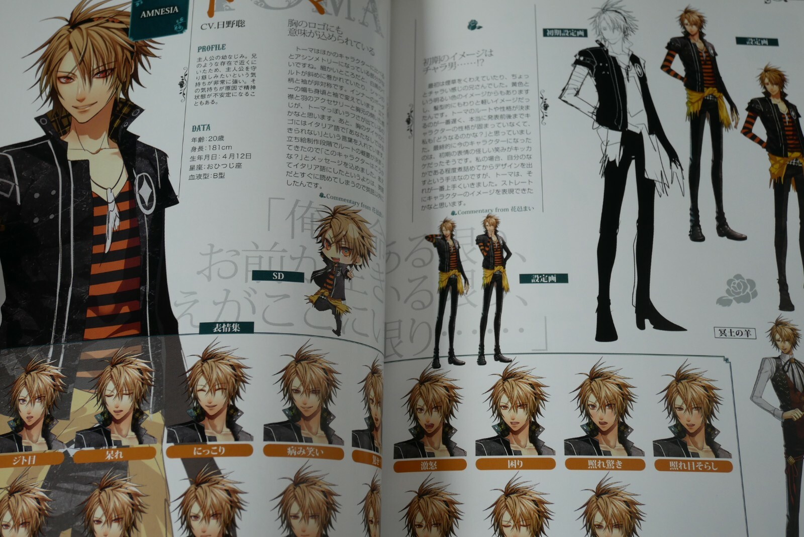 Japan Amnesia Koushiki Setteishuu Official Art Guide Book Ebay