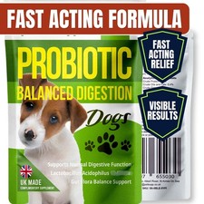 Dog Probiotic Tablets for Gut