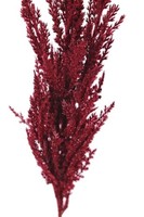 Artplants Kunstzweig Pampasgras Rispe Themba, Burgunderrot, 115Cm